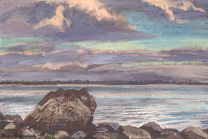 Trthnna sa chladach, Loch Measca, Co. Mhaigh Eo, ire